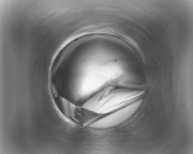 X0000065981528200603311851