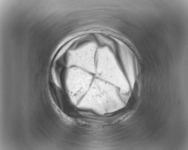 X0000065981530200603311851