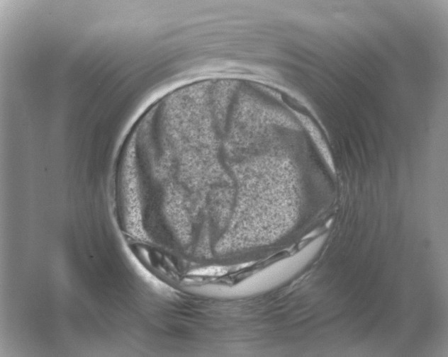 X0000065981531200603311851