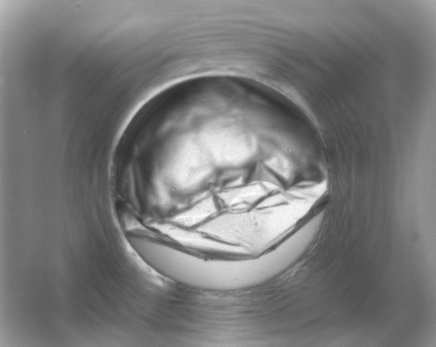 X0000065981532200603311851