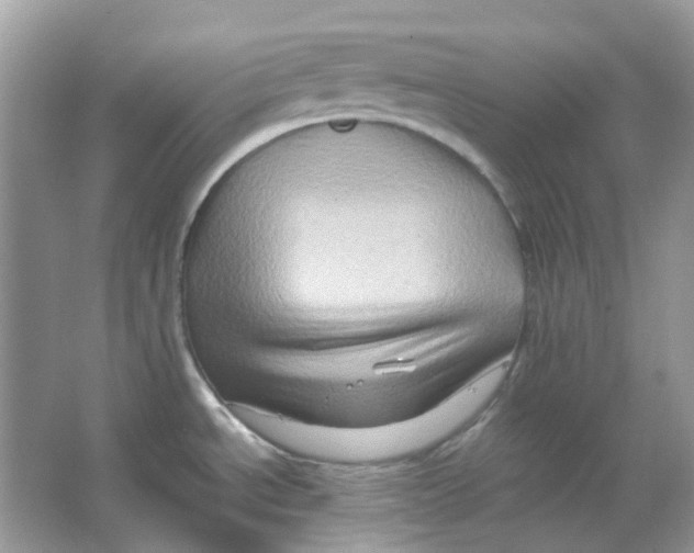 X0000065981534200603311851