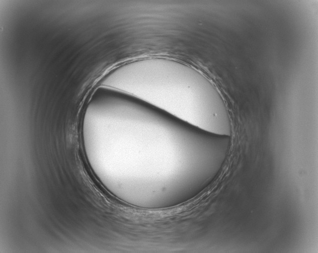 X0000065990002200603031014