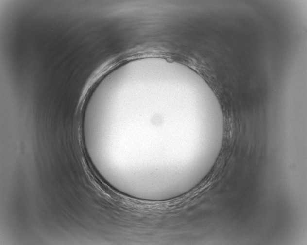 X0000065990004200603031014