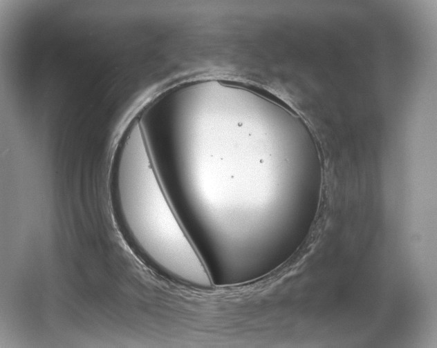X0000065990007200603031014