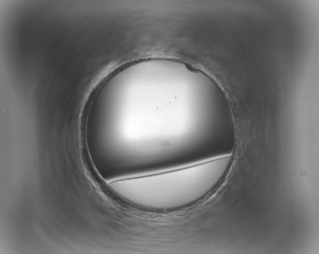X0000065990008200603031014