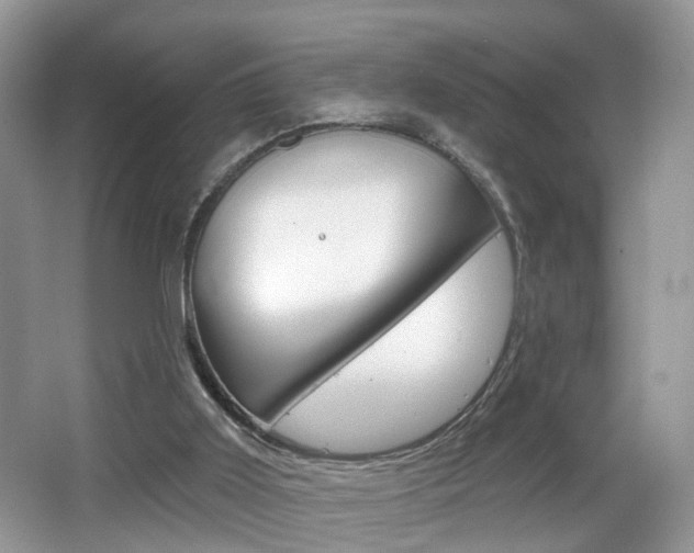 X0000065990011200603031014