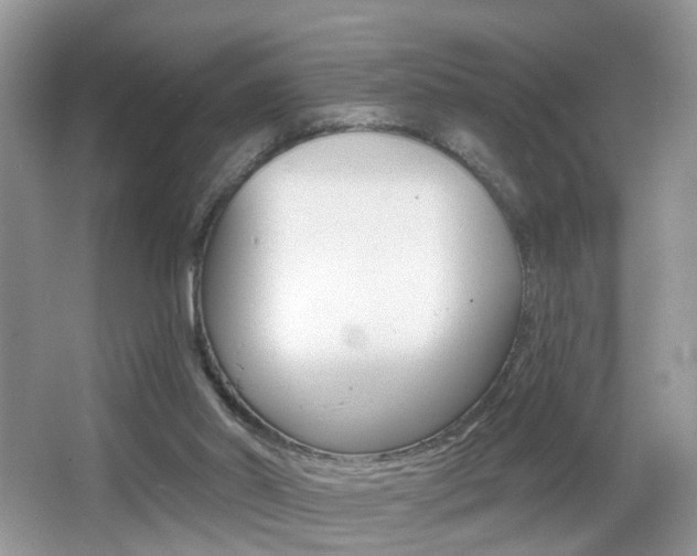 X0000065990014200603031014