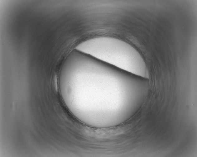 X0000065990022200603031014