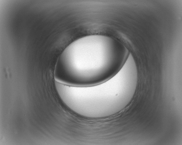 X0000065990025200603031014