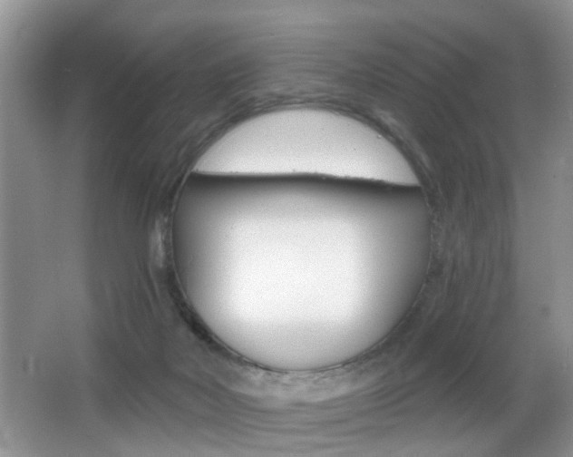 X0000065990026200603031014
