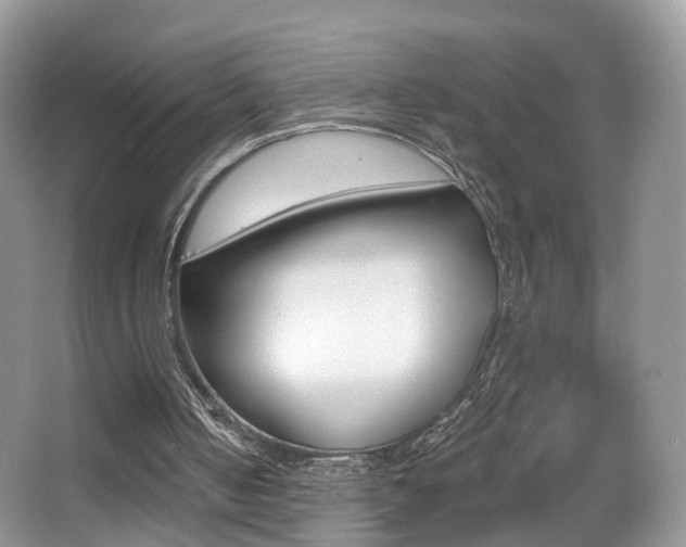 X0000065990050200603031012