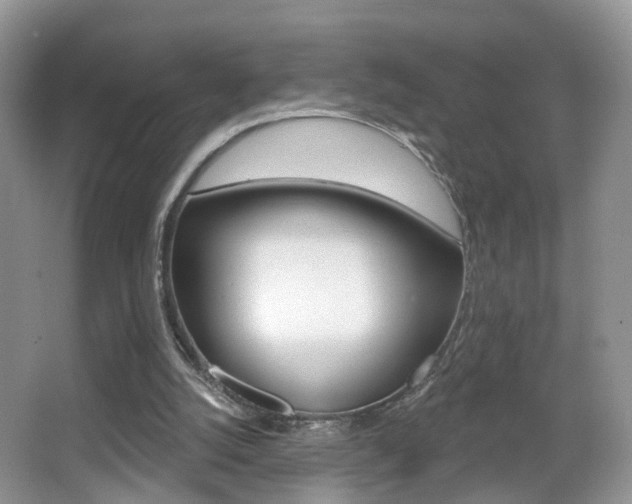 X0000065990056200603031012