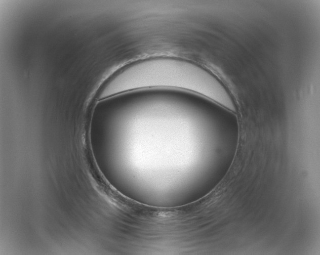 X0000065990060200603031013