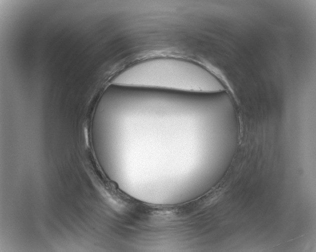 X0000065990061200603031013