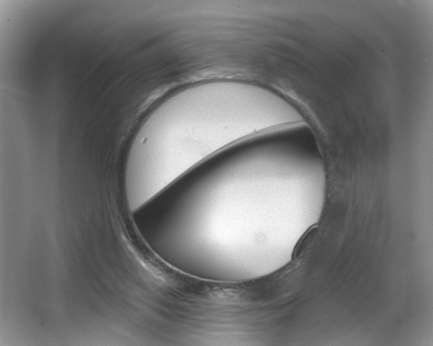 X0000065990062200603031013