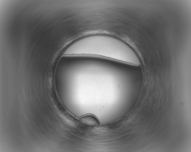 X0000065990063200603031013