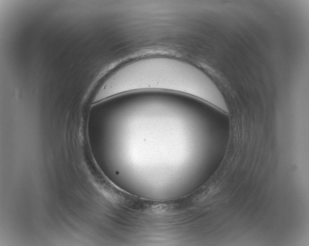X0000065990064200603031013