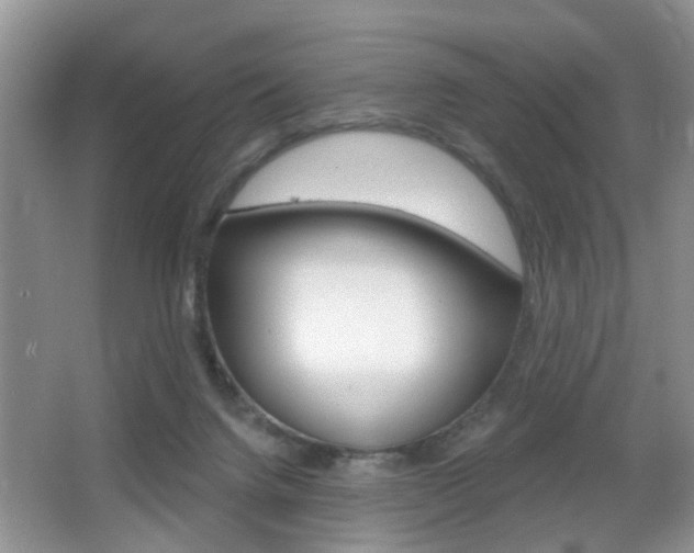 X0000065990072200603031013