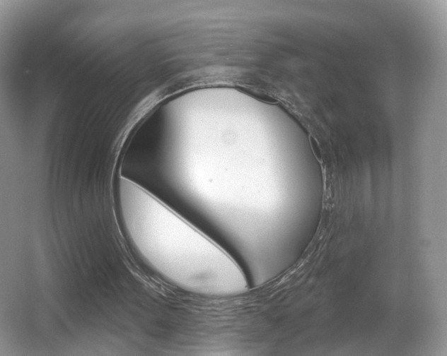 X0000065990099200603031012