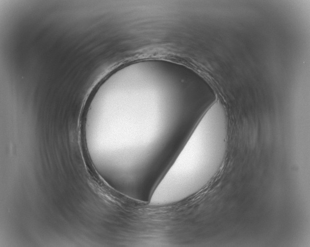 X0000065990100200603031012