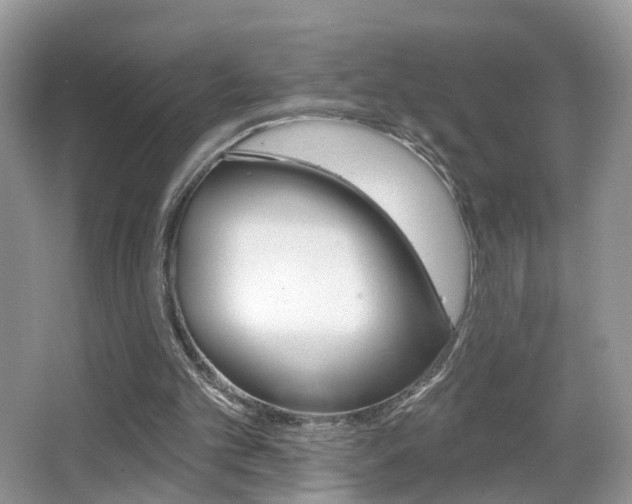 X0000065990101200603031012