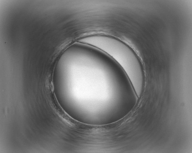 X0000065990105200603031012