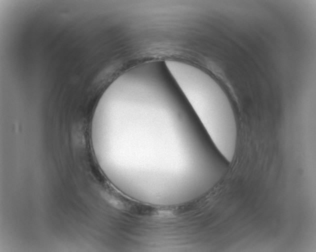 X0000065990114200603031012