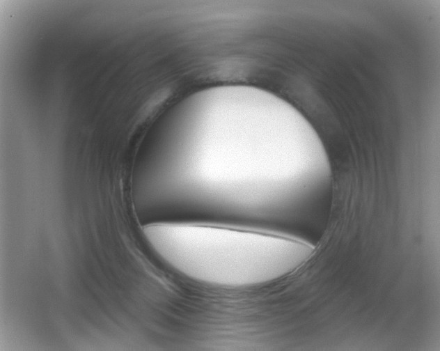 X0000065990120200603031012