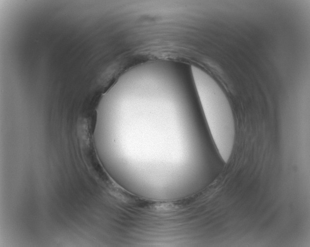 X0000065990121200603031012