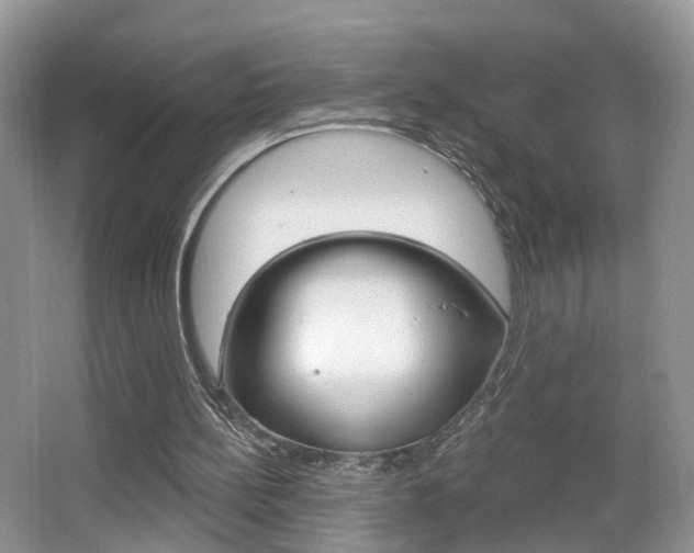 X0000065990148200603031011