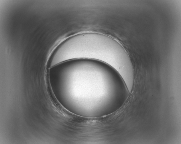 X0000065990152200603031011