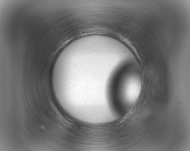 X0000065990154200603031011