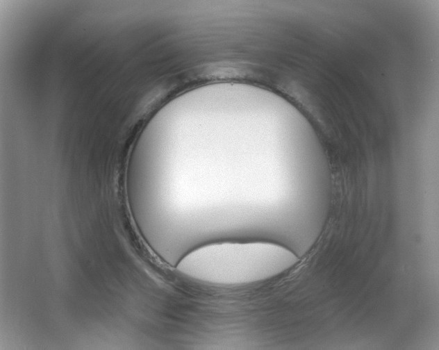 X0000065990159200603031011