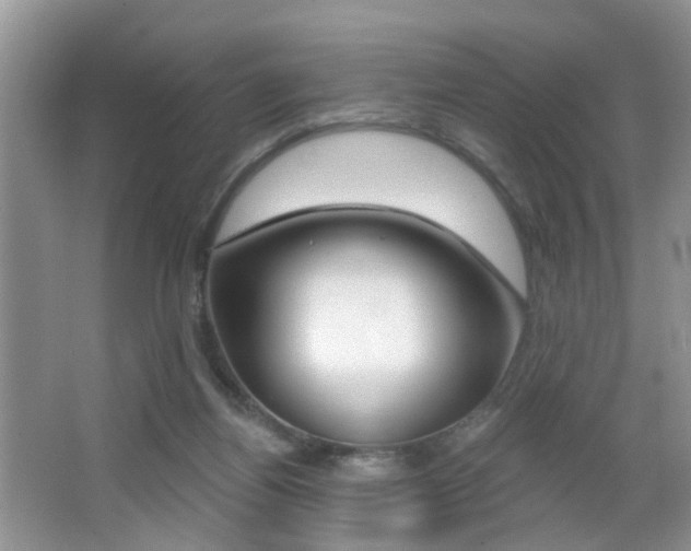 X0000065990164200603031011