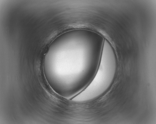 X0000065990201200603031011