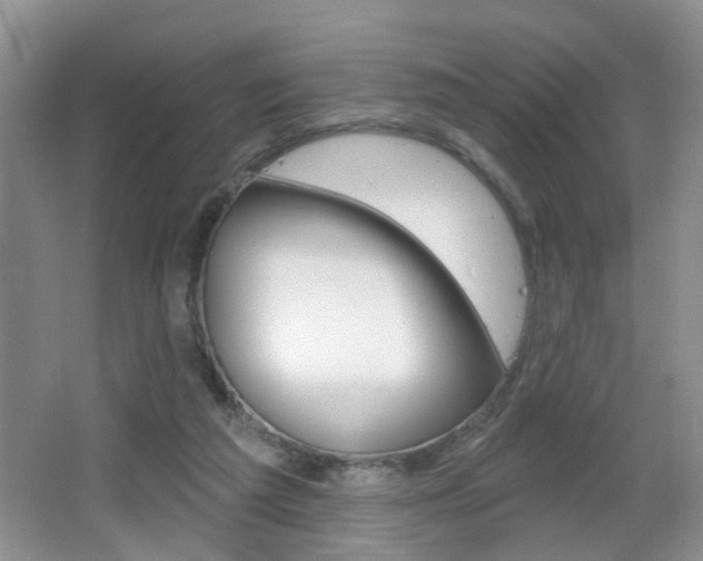 X0000065990209200603031010