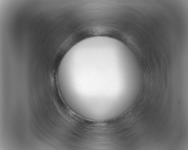 X0000065990214200603031010