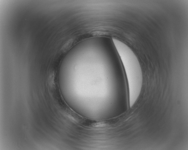 X0000065990219200603031010