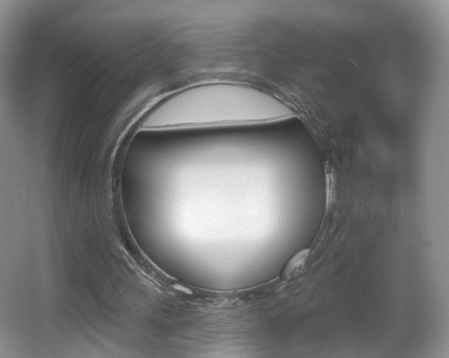 X0000065990243200603031009
