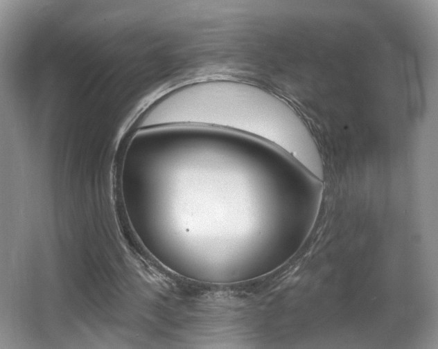X0000065990244200603031009