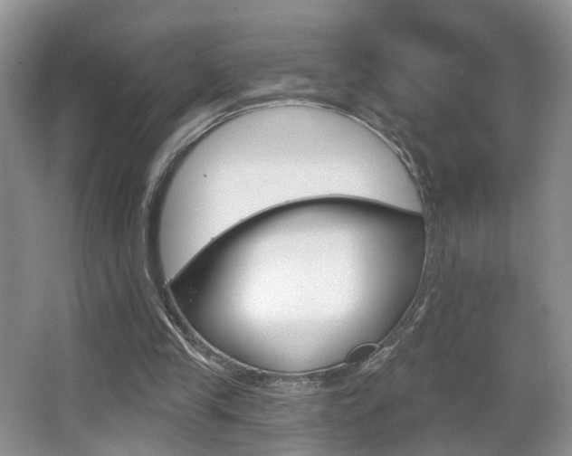 X0000065990245200603031009