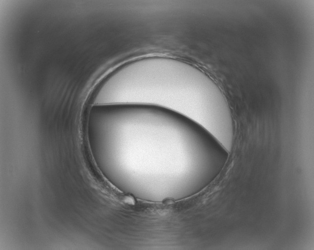 X0000065990247200603031009