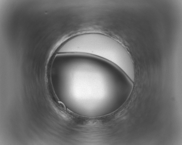X0000065990248200603031009