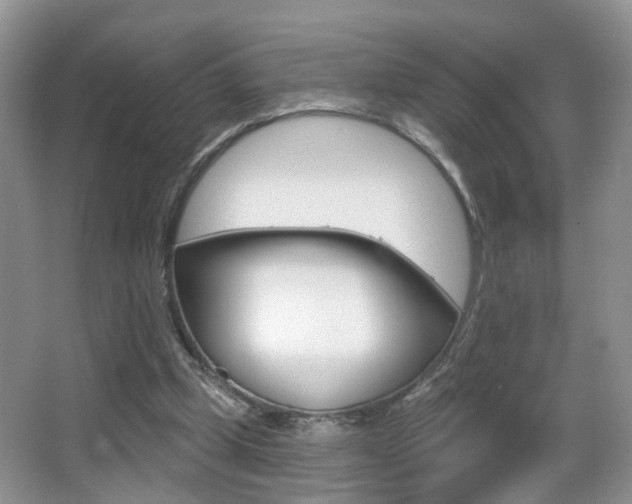 X0000065990249200603031009