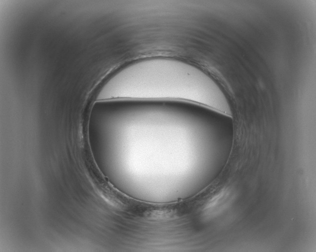 X0000065990251200603031009