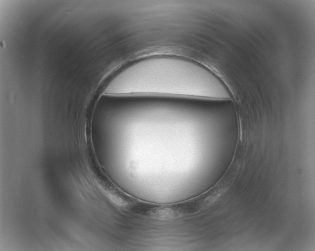 X0000065990253200603031009