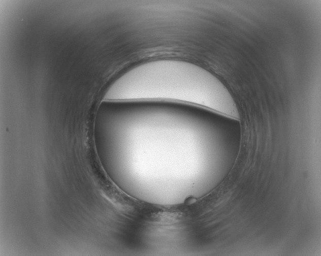 X0000065990255200603031009