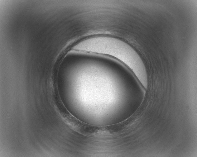 X0000065990256200603031009