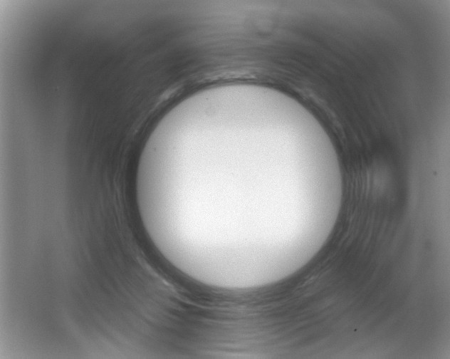 X0000065990260200603031009
