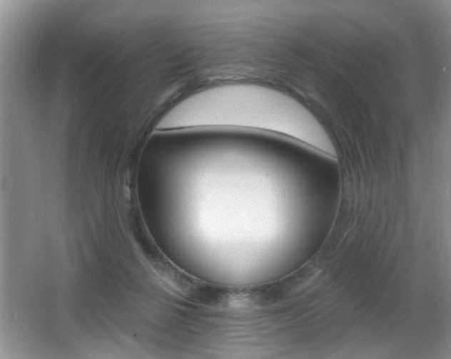 X0000065990264200603031009